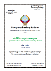 សាកល្បងResearch or Thesis